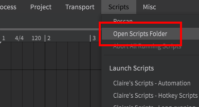 the Open Scripts Folder option under the Scripts menu